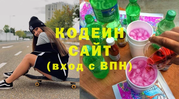 индика Заводоуковск