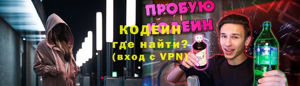 индика Заводоуковск