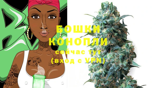 индика Заводоуковск