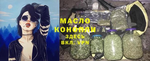 индика Заводоуковск