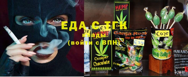 индика Заводоуковск