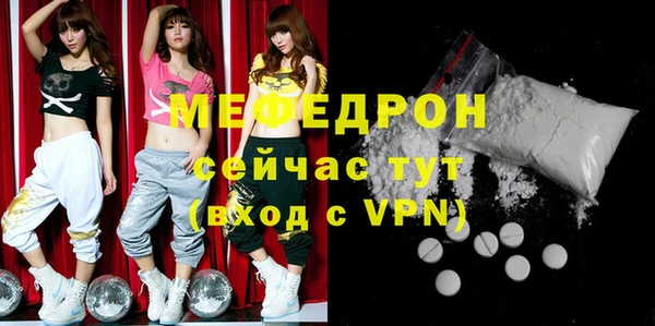 индика Заводоуковск
