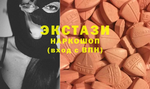 индика Заводоуковск