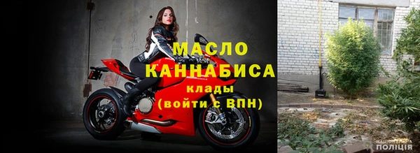 индика Заводоуковск