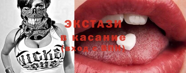 индика Заводоуковск