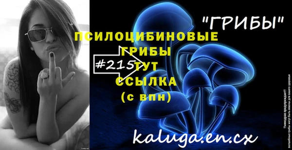 индика Заводоуковск