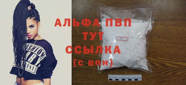 индика Заводоуковск