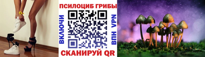 Псилоцибиновые грибы Cubensis  Купить где  Заволжье 
