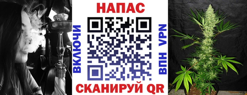 Купить закладки  Заволжье  Марихуана конопля 